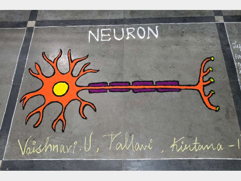 Jigyasa Exhibition 2024