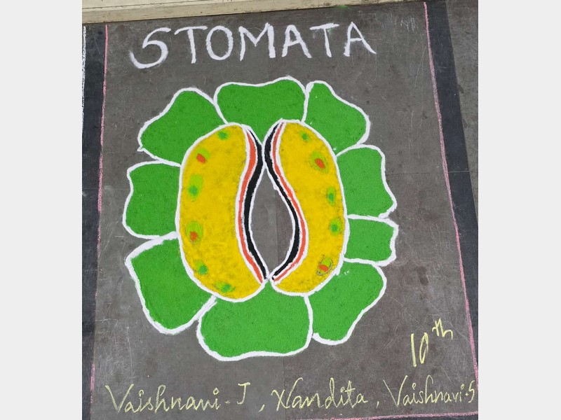 Jigyasa Exhibition 2024