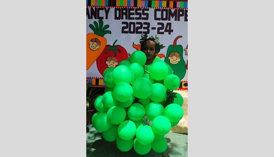 Fancy Dress Competition