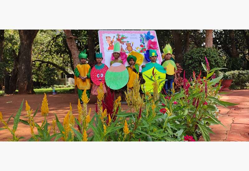 Fancy Dress Competition