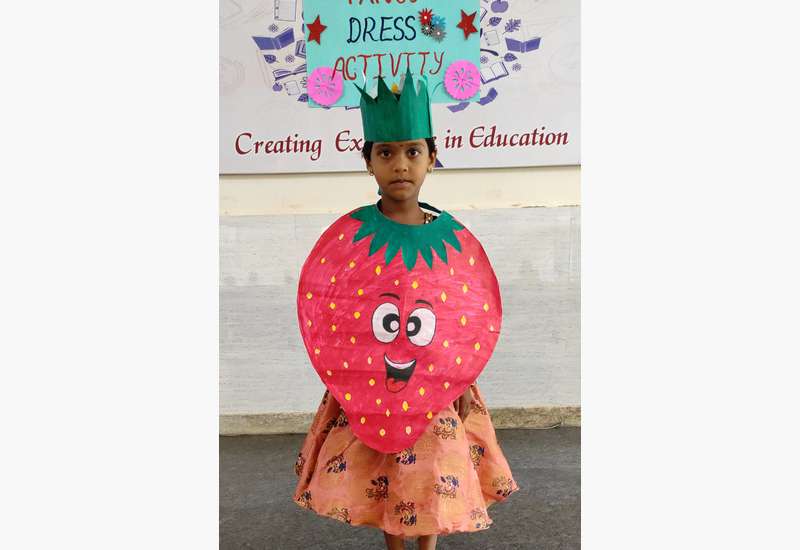 Fancy Dress Competition